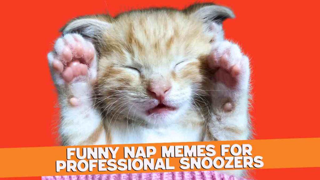 funny nap memes A sleeping kitten with its paws raised near its head against an orange background, and a caption at the bottom that reads 'Funny Nap Memes for Professional Snoozers.'