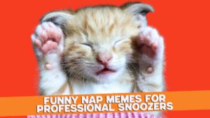 A sleeping kitten with its paws raised near its head against an orange background, and a caption at the bottom that reads 'Funny Nap Memes for Professional Snoozers.'