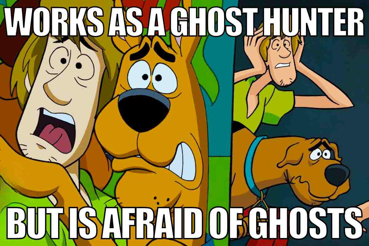 ghost hunter meme scooby doo Meme of cartoon characters looking scared with the text, 'Works as a ghost hunter but is afraid of ghosts,' capturing the humorous irony.