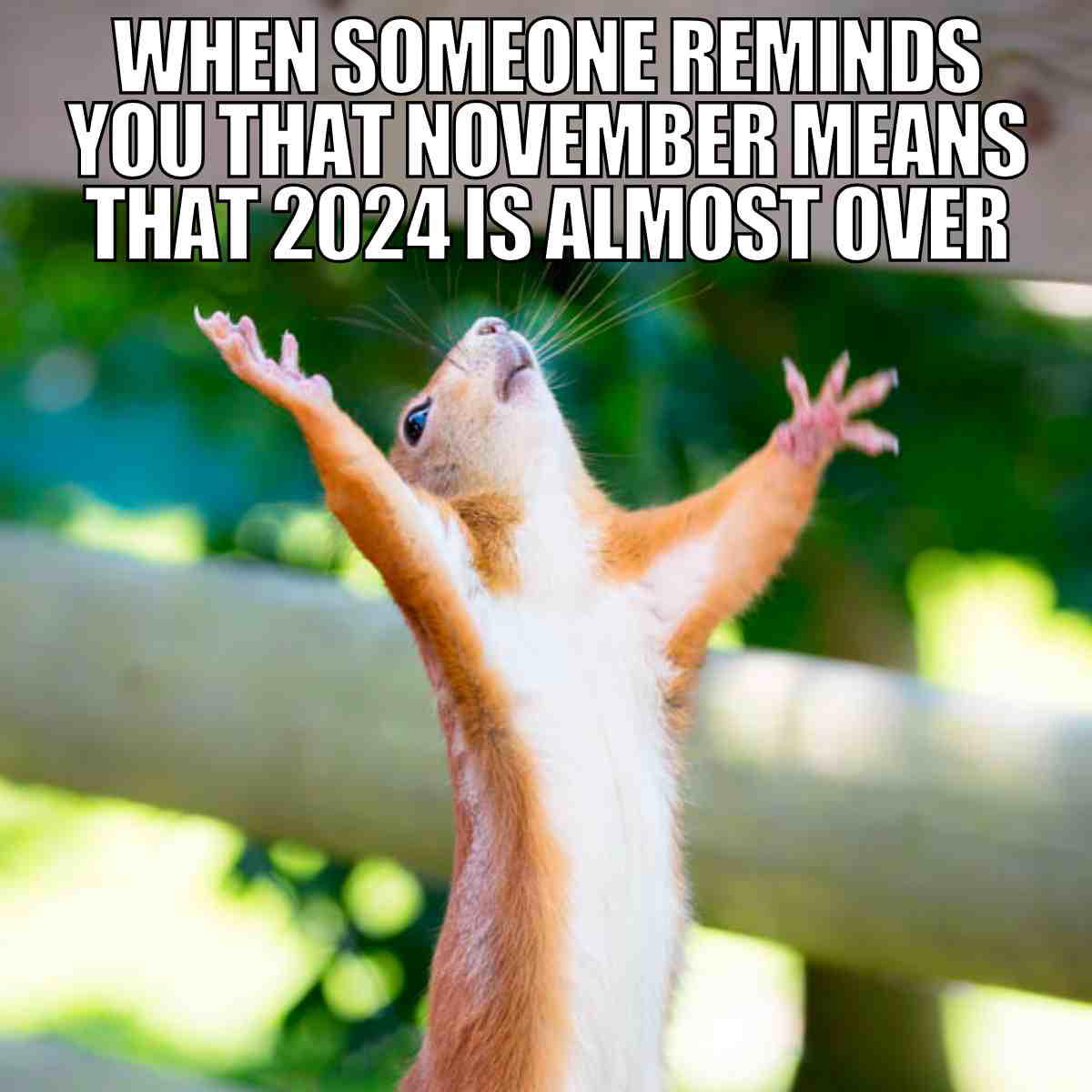 november 2024 meme november meme 2024: when someone reminds you that november means that 2024 is almost over!