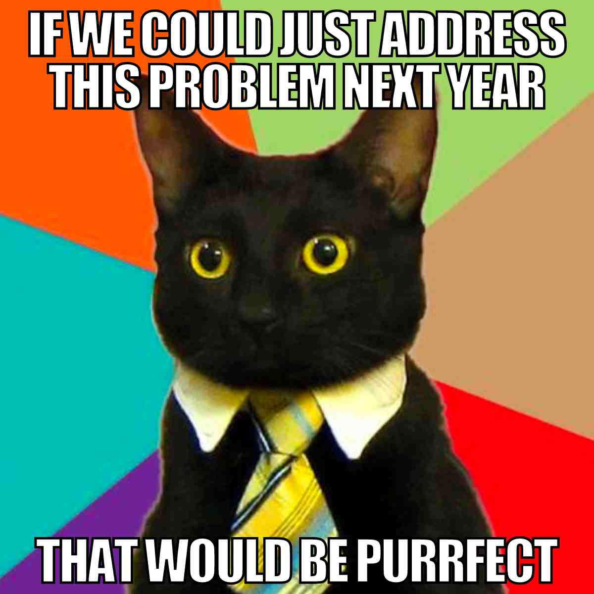 next year problem meme funny 2024 cat meme about procrastination
