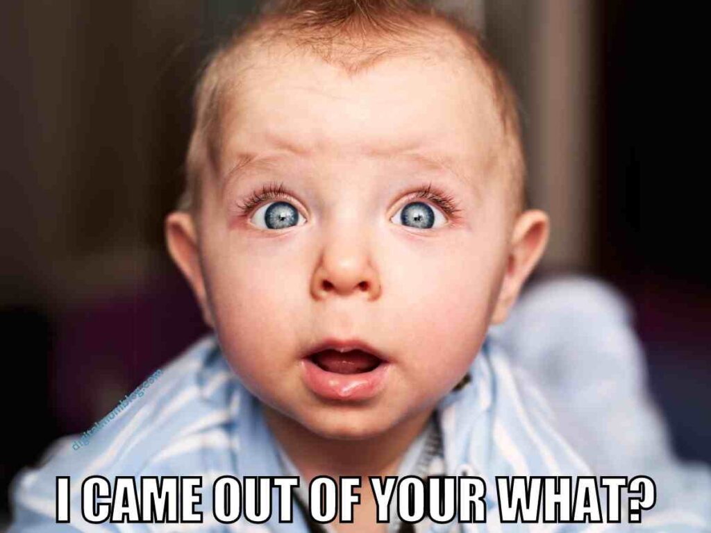 baby meme A wideeyed baby with a surprised expression, captioned "I CAME OUT OF YOUR WHAT?" showcasing classic baby meme humor.