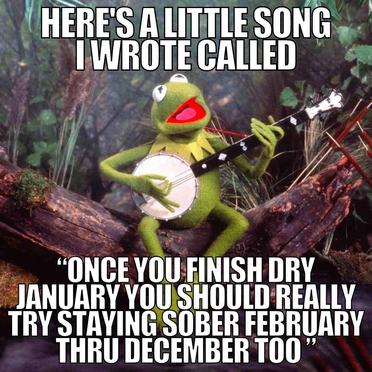 dry january meme 2024 Meme of a cheerful frog with a banjo suggesting that staying sober all year is as catchy as his tune.