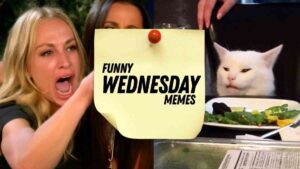 An image divided into two parts: on the left, a person is angrily yelling, and on the right, a white cat sits in front of a salad. A yellow sticky note with the text "FUNNY WEDNESDAY MEMES" is pinned in the center.