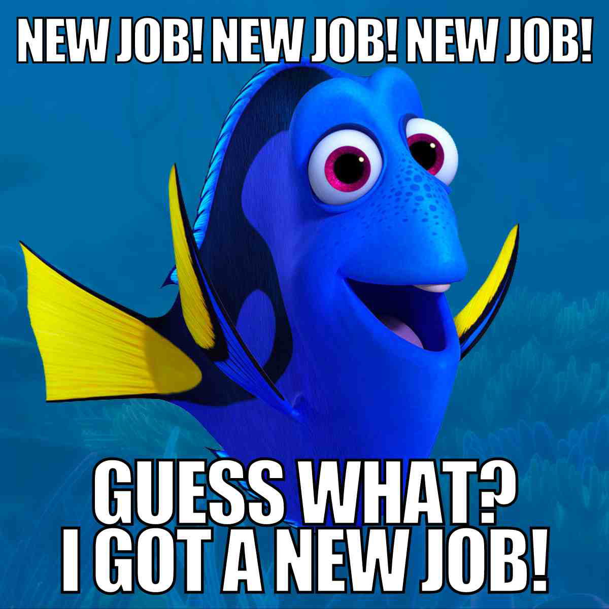 i got a new job meme Meme of a blue fish with big eyes excitedly exclaiming, 'New Job! New Job! New Job! Guess what? I got a new job!' capturing the joy of starting a new role.
