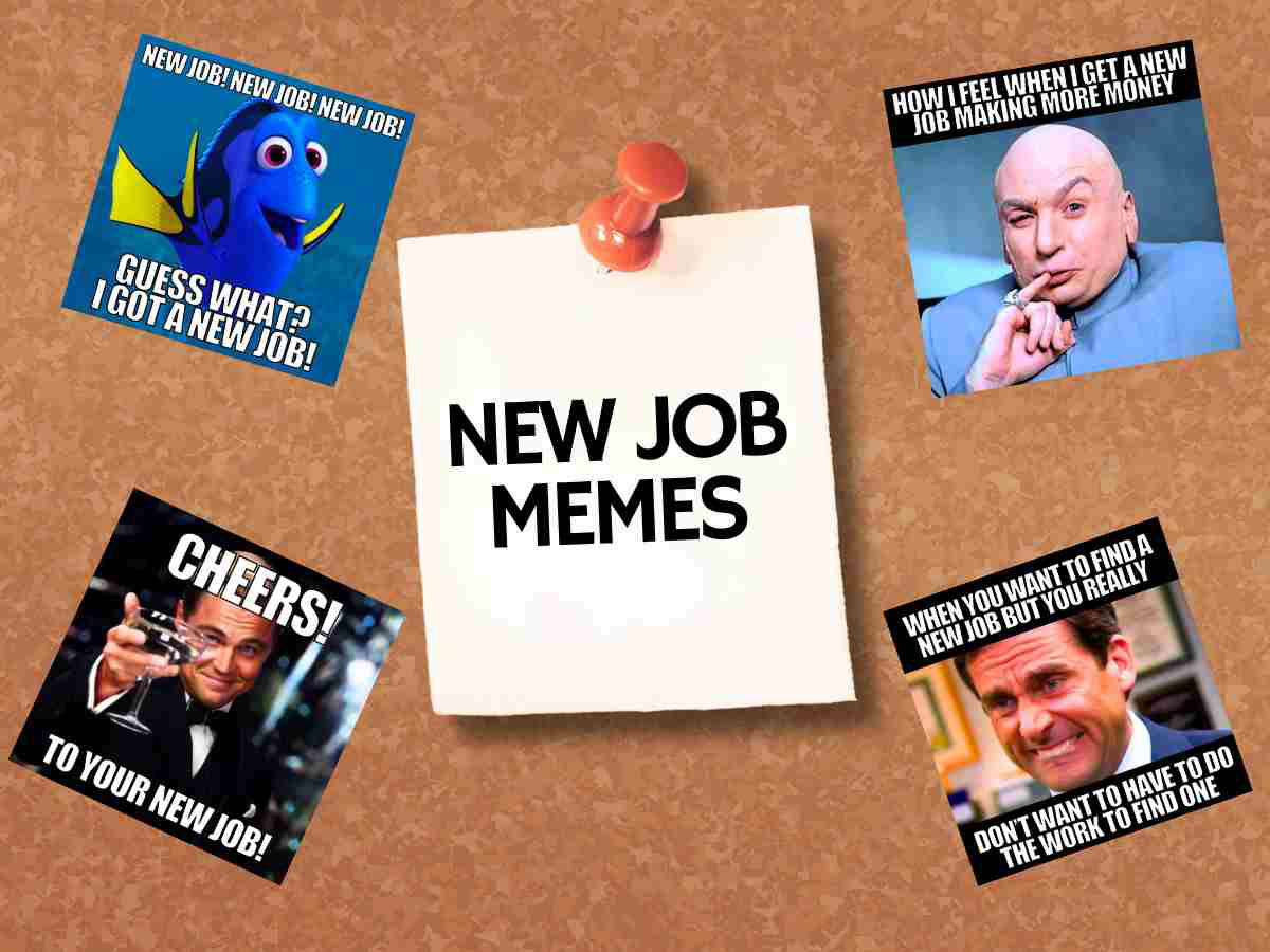 new job memes A board with humorous job memes, featuring a forgetful fish happily announcing a new job, an evil genius gloating over a new higherpaying job, a suave man toasting to a new job, and a reluctant office worker contemplating the effort of finding a new job. Center note proudly declares 'New Job Memes.'