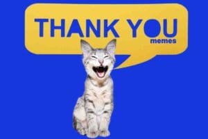 A laughing cat adds extra humor to a 'Thank You' meme in a speech bubble, guaranteed to purrfectly spice up your gratitude game.