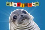 A humorous Wednesday meme featuring a seal with a cute expression, set against a background with colorful letters spelling out 'Wednesday.'