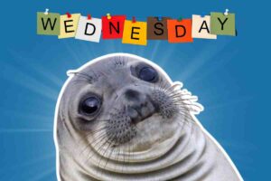 A humorous Wednesday meme featuring a seal with a cute expression, set against a background with colorful letters spelling out 'Wednesday.'