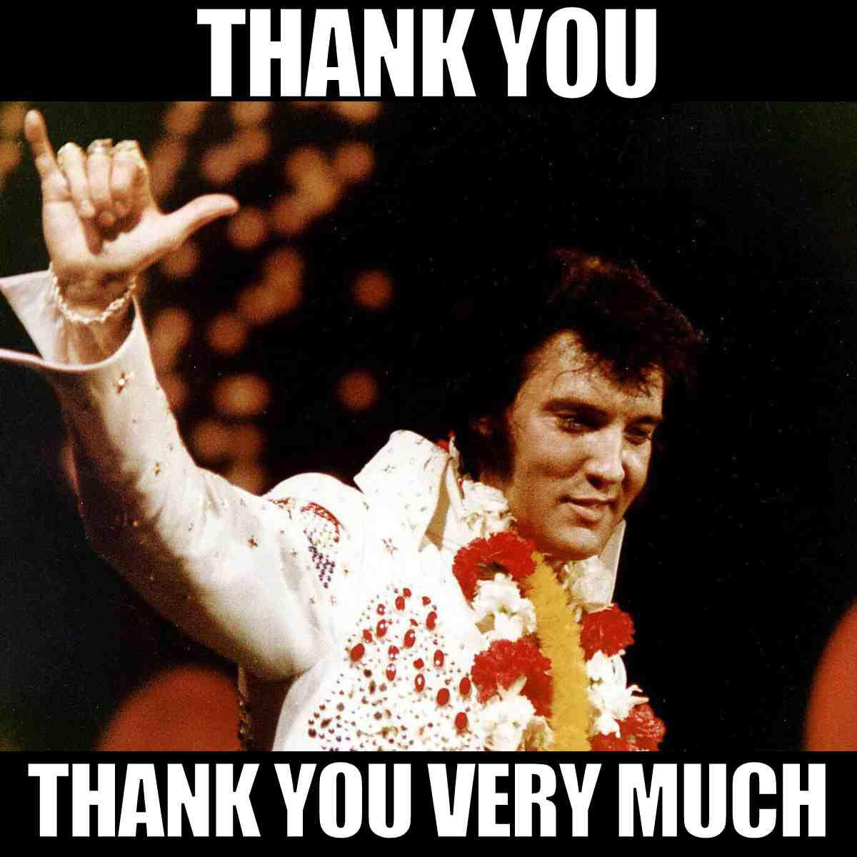Elvis Thank You Very Much Meme Elvis Presley meme with the King in a sequined jumpsuit, midwave, with text saying "Thank you, thank you very much," epitomizing rock 'n roll gratitude.