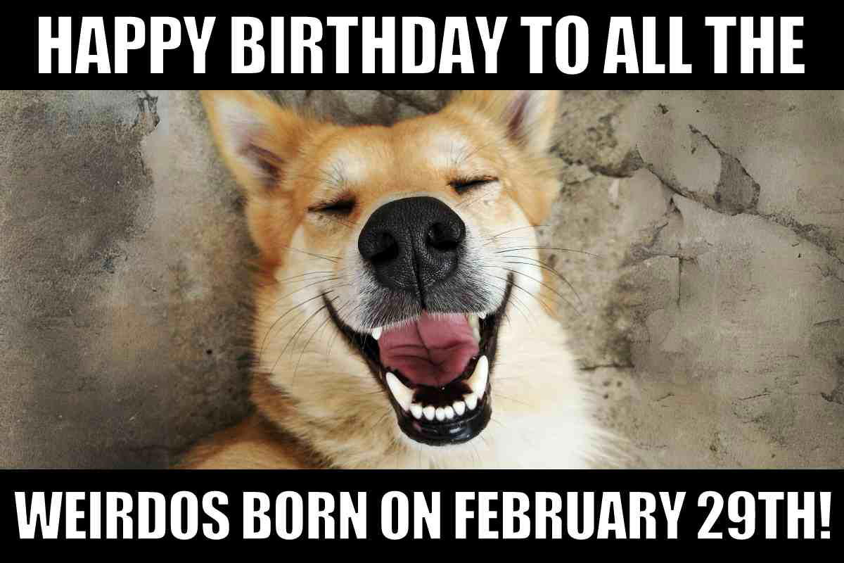 birthday february 29 meme Laughing dog meme about February 29th birthdays, captioned "Happy Birthday to all the Weirdos Born on February 29th!"