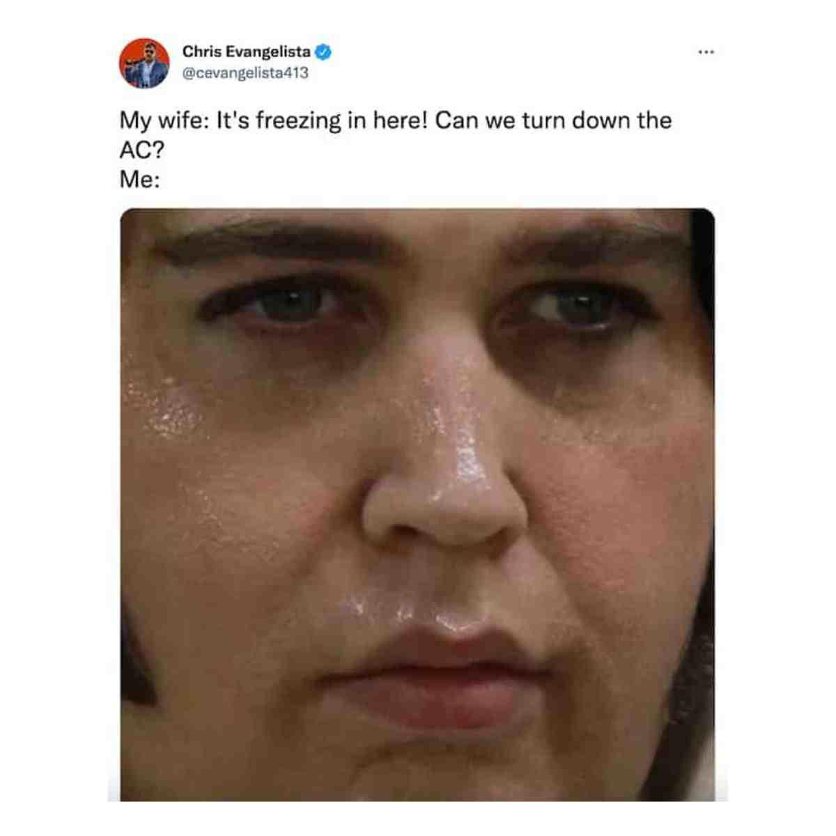 elvis sweating meme Sweaty Elvis meme expressing the panic of facing a freezing wife's request to turn down the AC, with a side of humor.