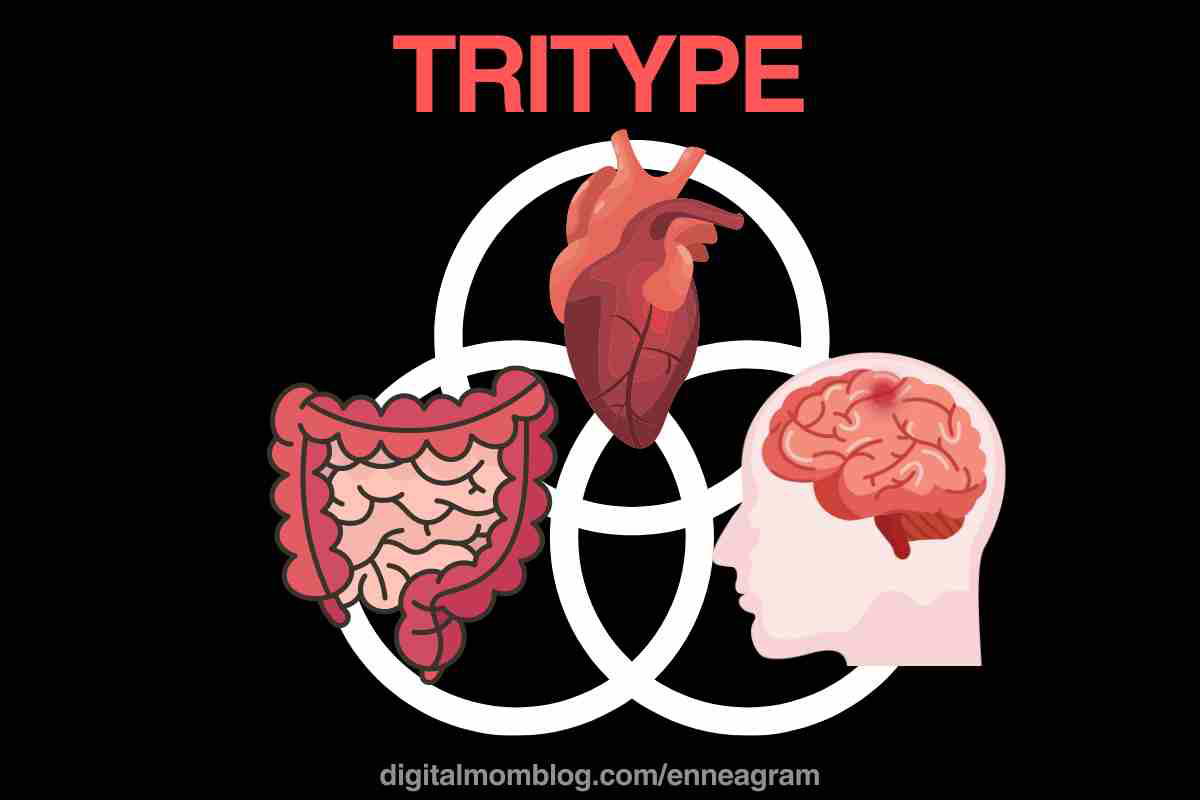 enneagram tritype definition Cartoon illustration of a tritype diagram featuring a heart, brain, and intestines—because nothing says 'understand your personality' like a digestive system cameo—on a black background.