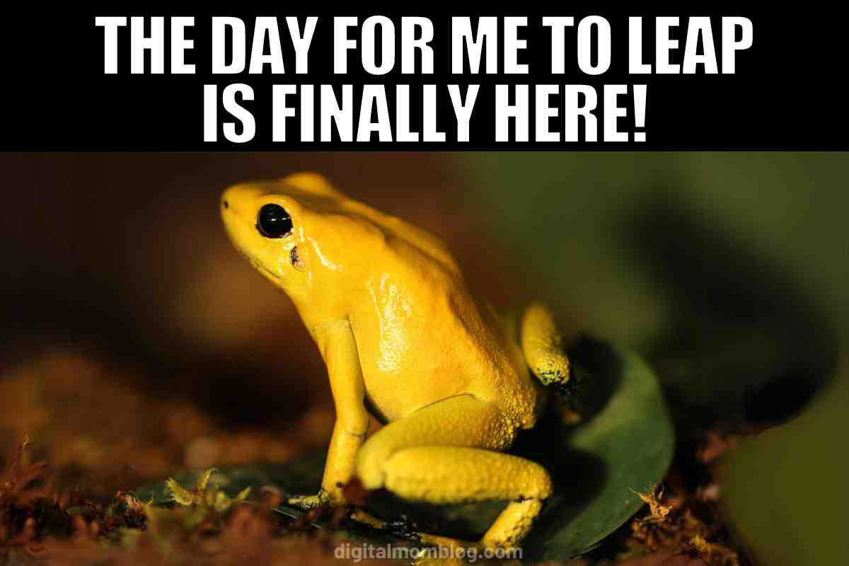 frog leap day meme frog leap day meme the day for me to leap is finally here