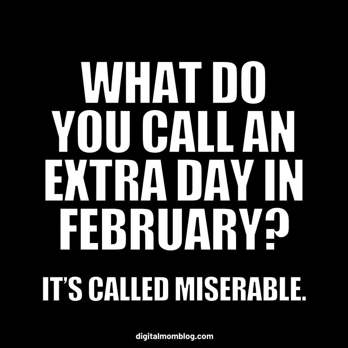 funny leap day meme funny leap day meme what do you call an extra day in february, miserable