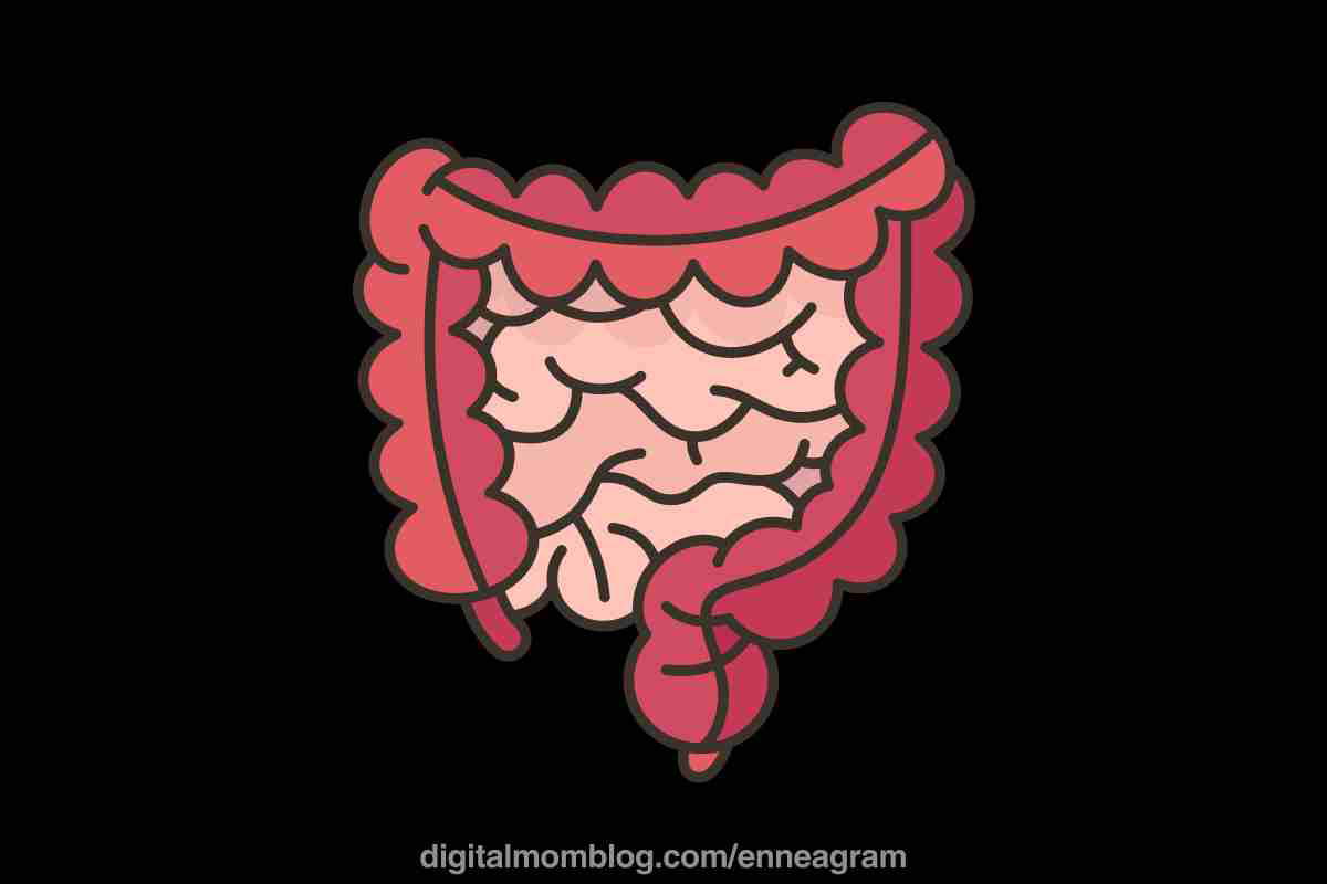 gut triad gut triad