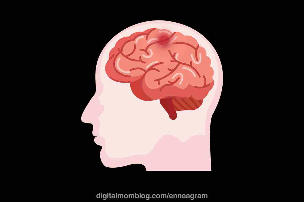 head triad head triad