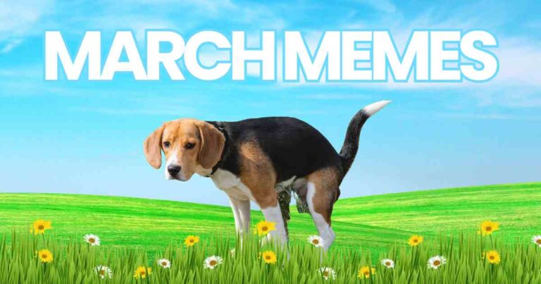 A beagle standing in a grassy field with wildflowers under a blue sky, with the text "MARCH MEMES" above.