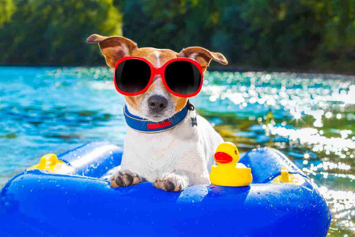 memes for summer memes for summer