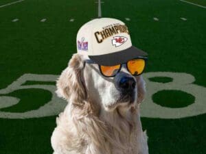 Meme of a cool dog wearing a Super Bowl champions cap and sunglasses on a football field, bringing a fun twist to Monday blues.