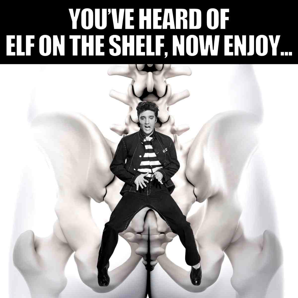 pelvis elvis meme Meme featuring Elvis Presley sitting on a pelvic bone with the text 'You've heard of Elf on the Shelf, now enjoy...' suggesting a humorous twist.