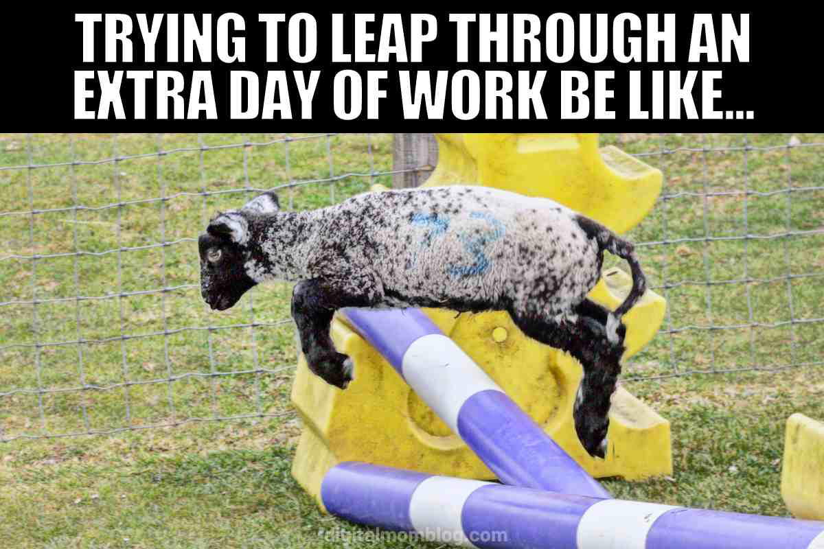 work leap day meme Meme of a lamb awkwardly leaping over a hurdle, with text saying, 'Trying to leap through an extra day of work be like...' evoking those neverending work weeks.