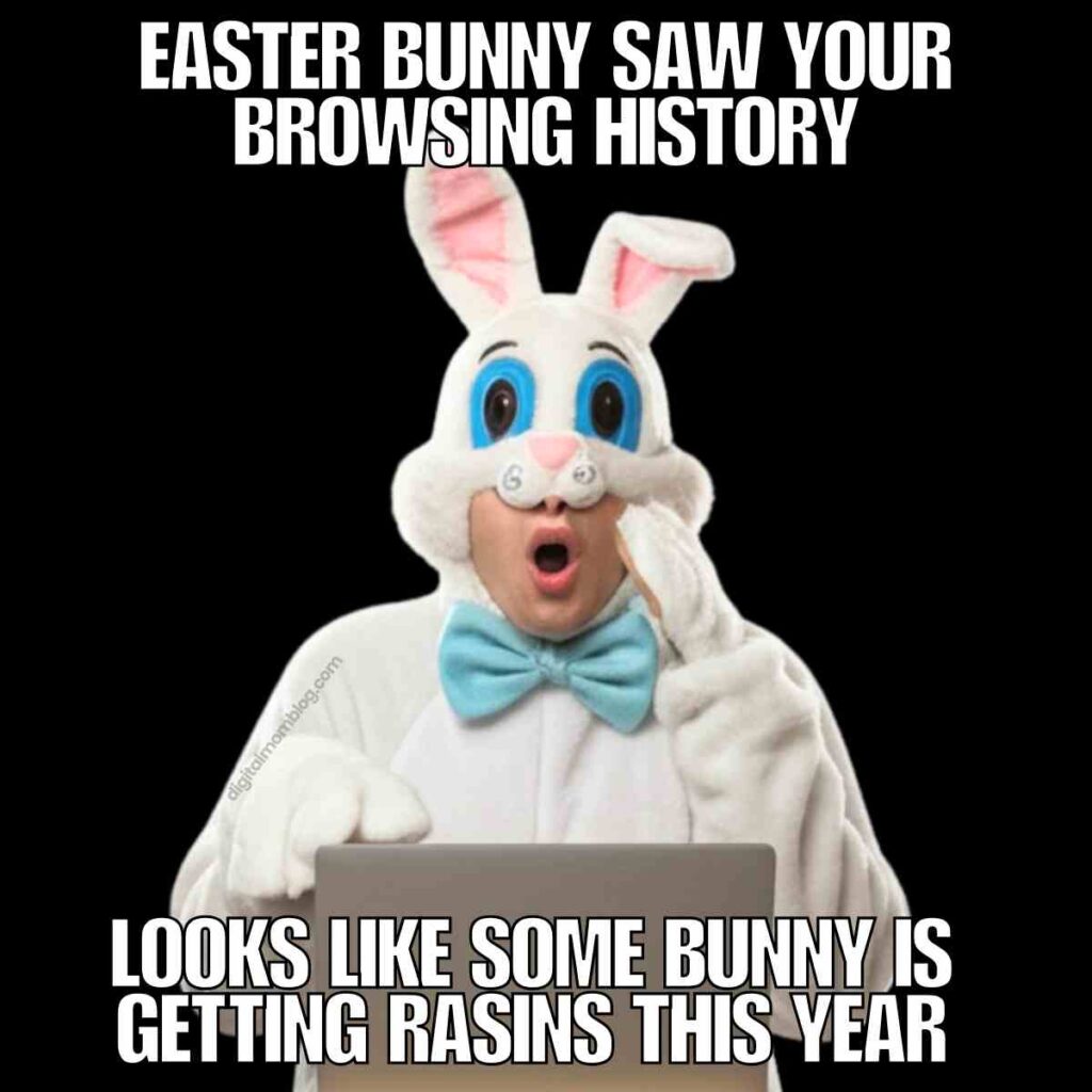 adult easter bunny meme An adult easter bunny meme featuring a person in an Easter bunny costume looks surprised while using a laptop, with text above and below them reading, "Easter Bunny Saw Your Browsing History. Looks like some bunny is getting raisins this year."