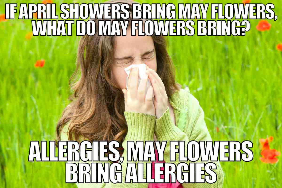 april showers allergies meme Meme of a woman sneezing with the text: 'If April showers bring May flowers, what do May flowers bring? Allergies, May flowers bring allergies.'