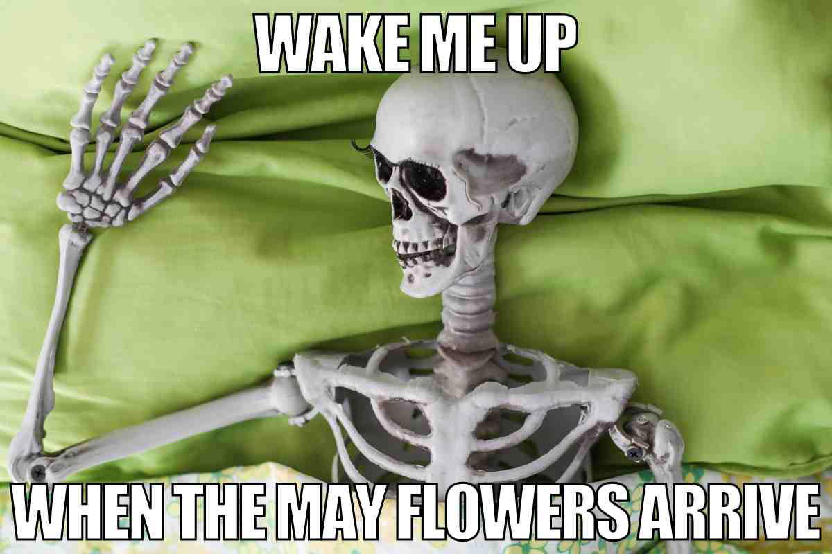 may flowers meme Skeleton meme with text: 'Wake me up when the May flowers arrive,' humorously waiting under green sheets.