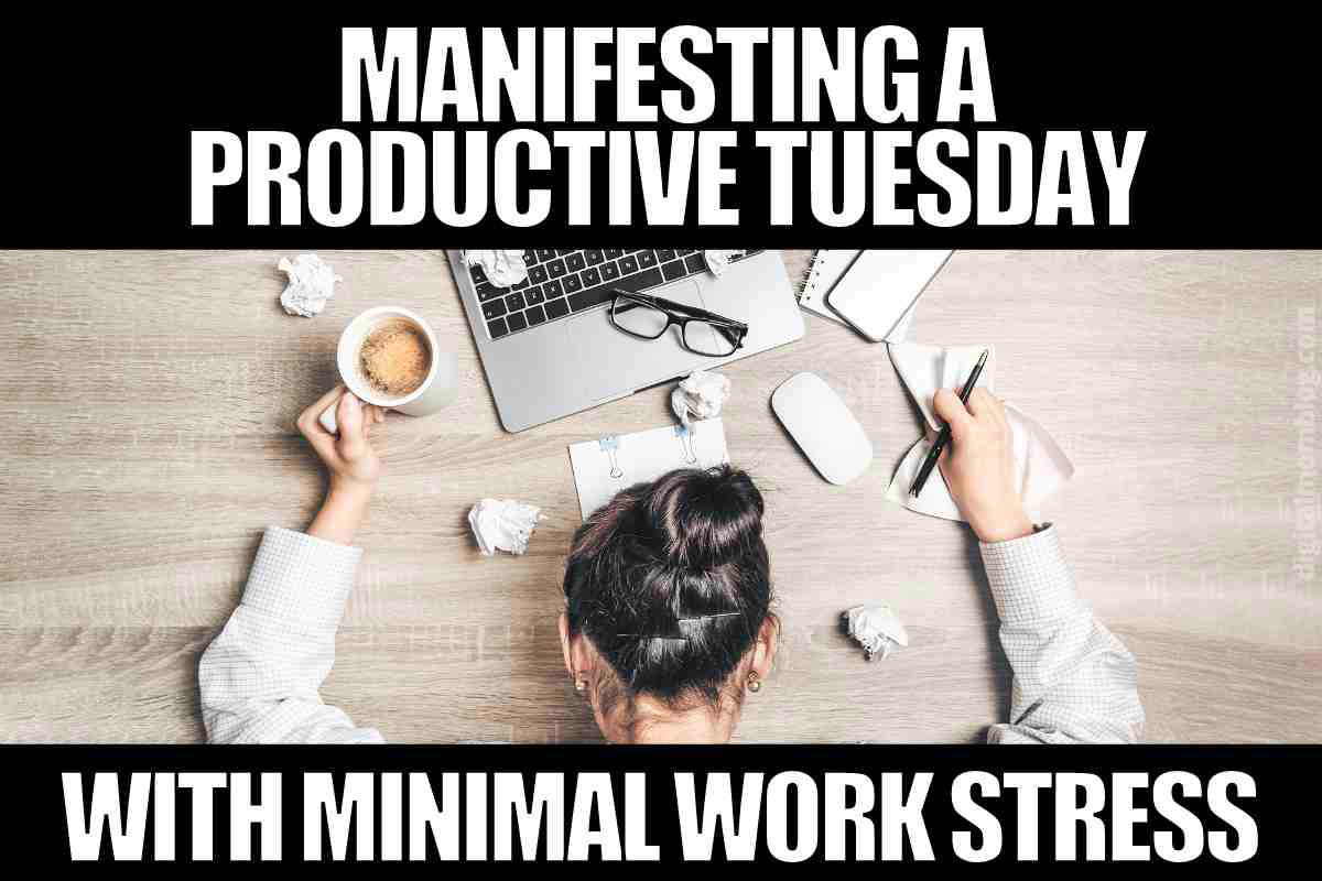 tuesday work motivation meme Meme showing someone with a coffee cup, messy desk, and top bun attempting to manifest a productive Tuesday amidst crumpled paper chaos, captioned 'Manifesting a Productive Tuesday with Minimal Work Stress.'