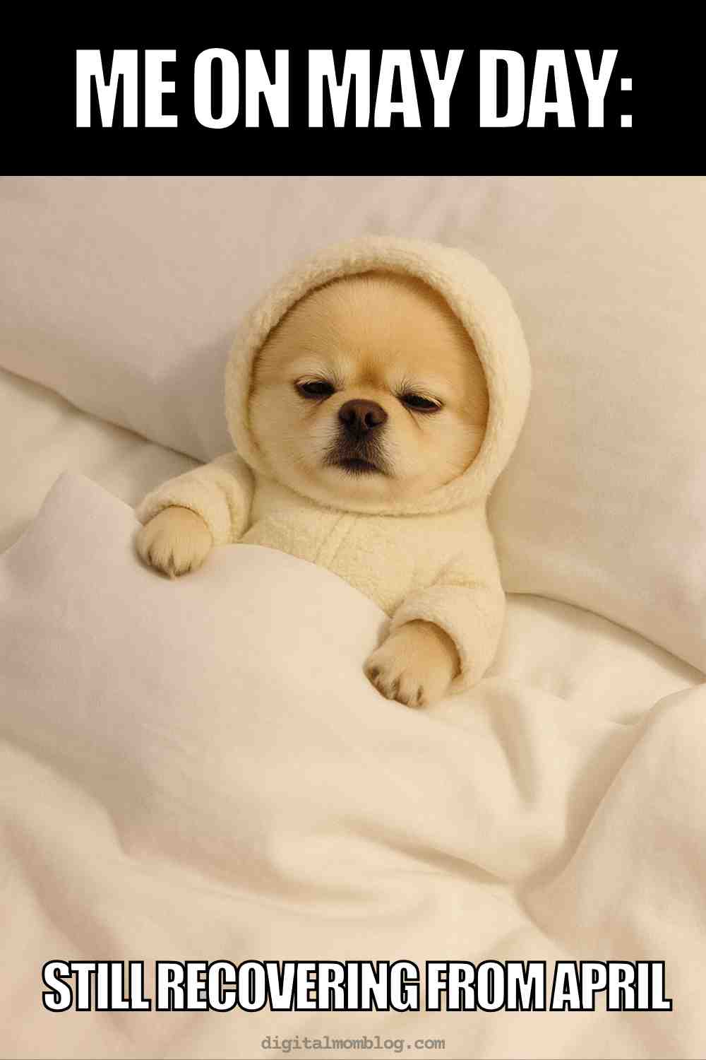 may day meme funny A May day memes featuring a sleepy puppy in a fluffy hooded outfit is tucked into bed, with the text above saying "Me on May Day:" and below "Still recovering from April."