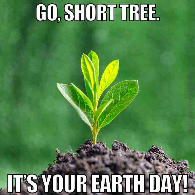 tree earth day meme funny earth day meme that shows a baby tree captioned go short tree, it's your earth day.