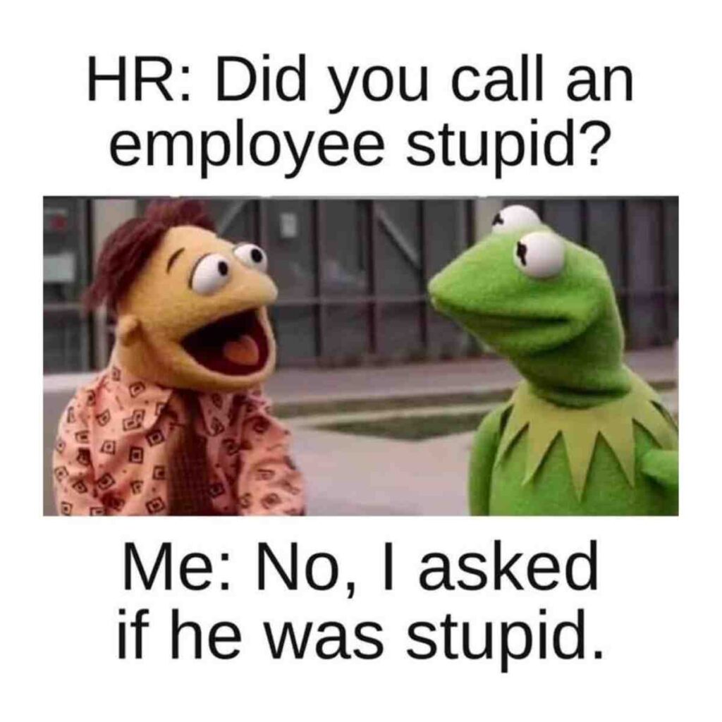 employee hr meme An hr meme featuring two puppet characters having a conversation, with text above and below them: 'HR: Did you call an employee stupid?' and 'Me: No, I asked if he was stupid.'