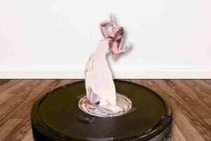 cut out print meme of taylor swift on top of roomba robotic vacuum from whos afraid of little old me eras tour performance