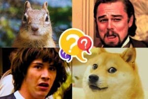 photo of 4 memes for what meme am i quiz