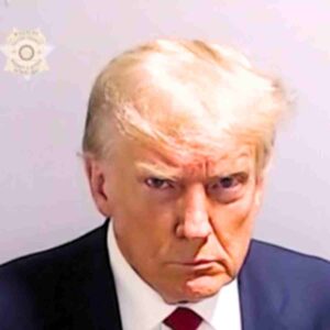 donald trump mug shot meme template Image of a meme featuring a seriouslooking man with a combover, raising an eyebrow as if plotting something audacious.