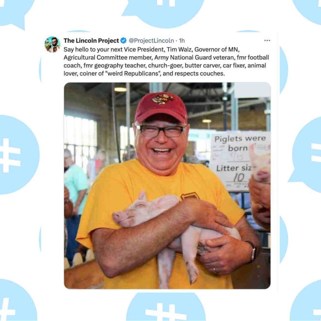tim walz pig meme tim walz meme holding a pig