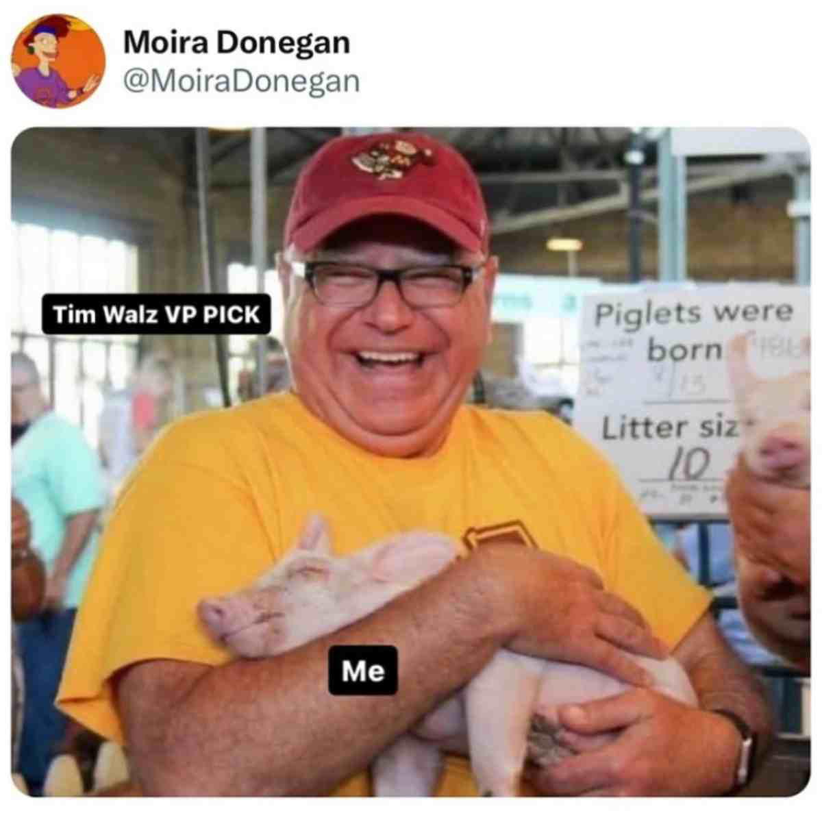 walz vp meme tim walz vp pick