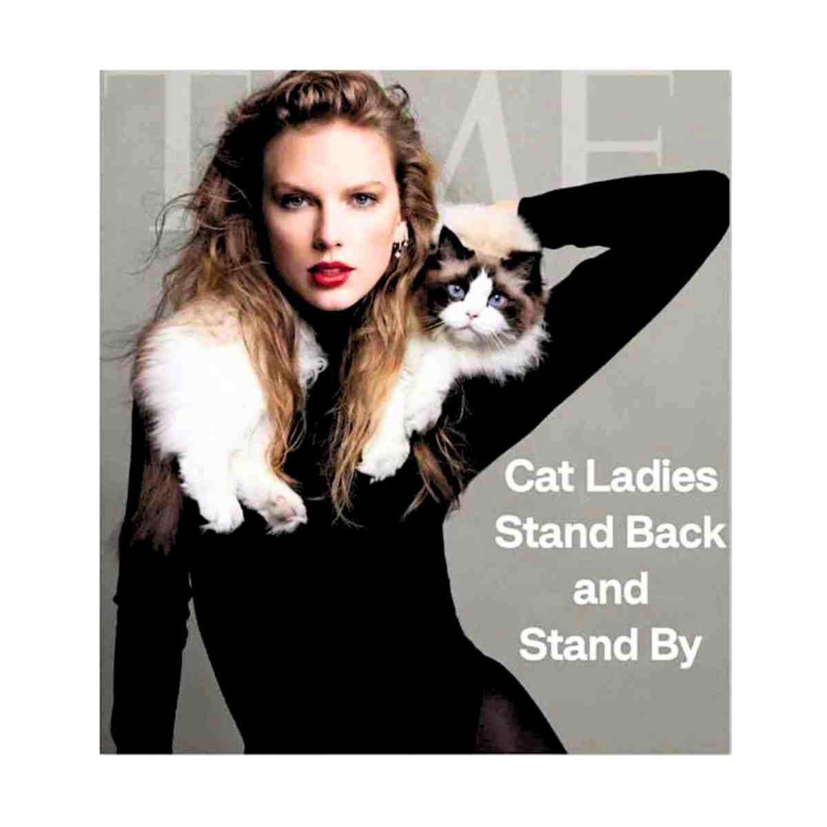 cat ladies voting meme cat ladies stand back and stand by