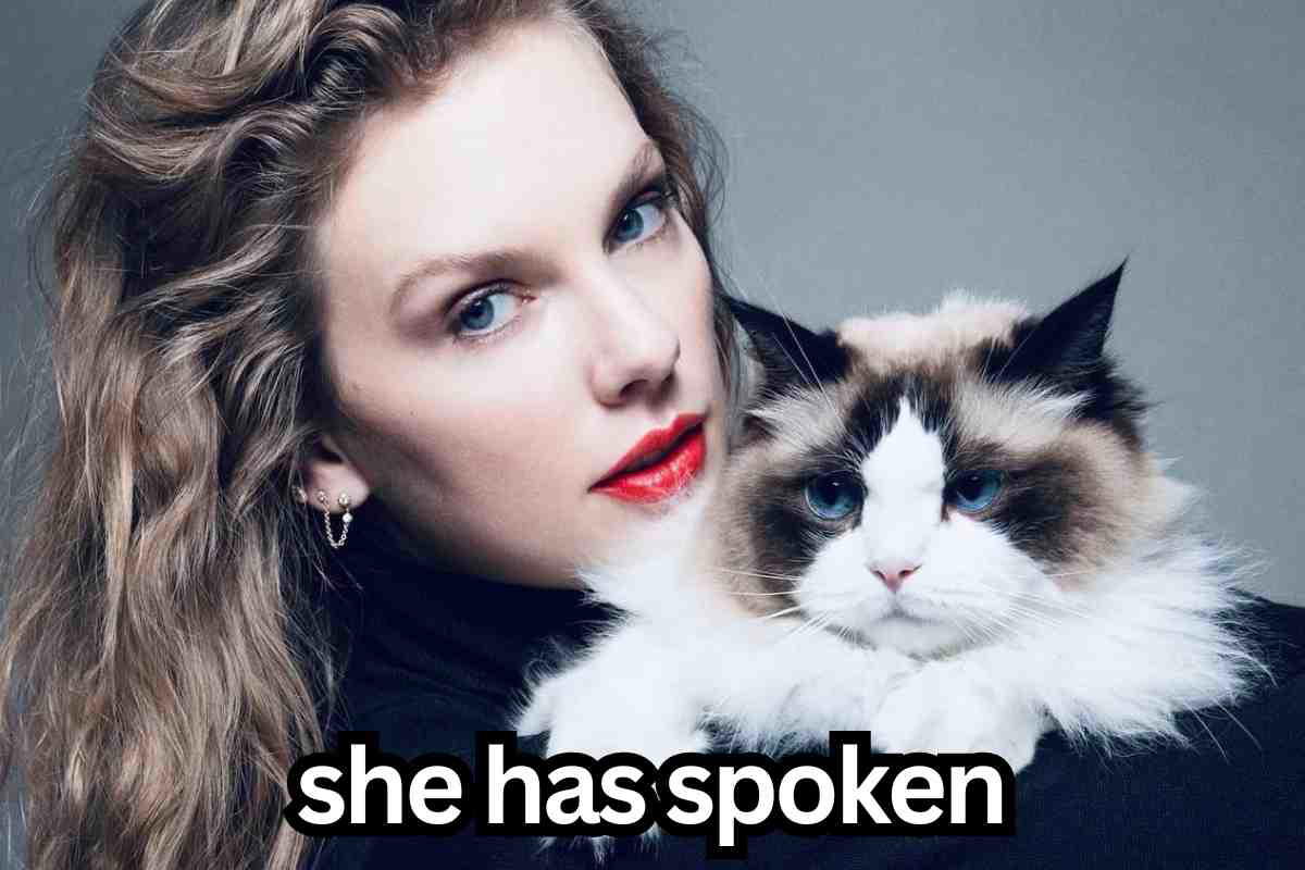 swifties voting memes taylor swift has spoken