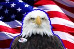 Funny election results memes capturing the suspense of swing states and exit polls.