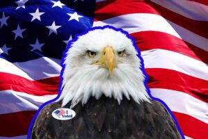 Funny election results memes capturing the suspense of swing states and exit polls.
