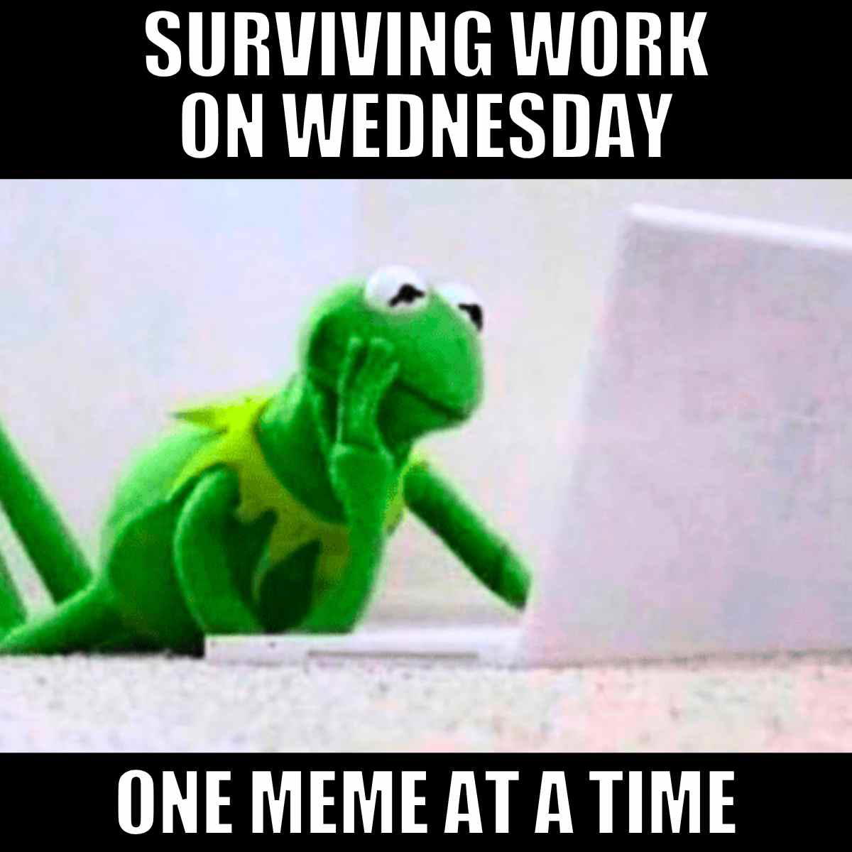 surviving work on wednesday meme Funny workplace meme about surviving the week.