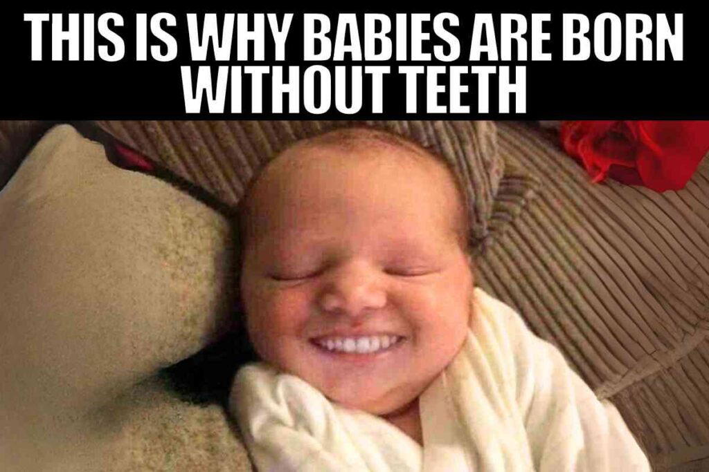 baby with teeth meme A baby smiling with digitally added adult teeth, wrapped in a blanket, with the caption "This is why babies are born without teeth."