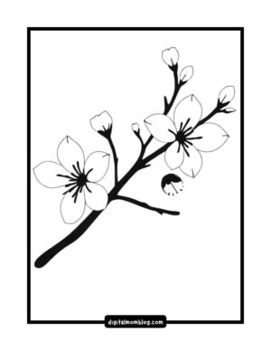 Black and white illustration of a cherry blossom branch with two open flowers and several buds.