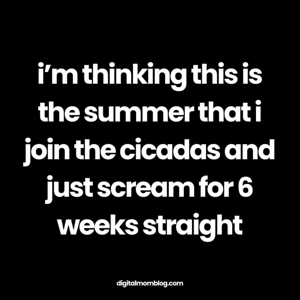 cicadas summer meme A black background with white text that reads, "i'm thinking this is the summer that i join the cicadas and just scream for 6 weeks straight." The URL digitalmomblog.com is at the bottom.