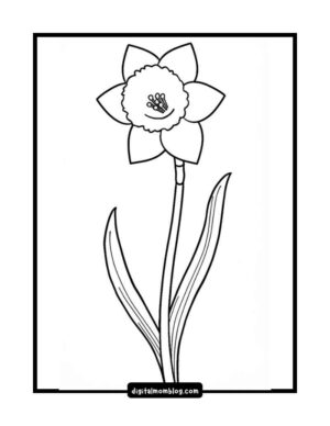 Black and white line drawing of a single daffodil with six petals, a central trumpet, and long, narrow leaves, framed by a black border.