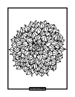 A detailed black and white line flower coloring page printable pdf of a blooming dahlia with numerous layered petals, framed by a thin black border.