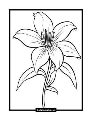 Black and white line drawing of a lily flower with several petals and a long stem with leaves.