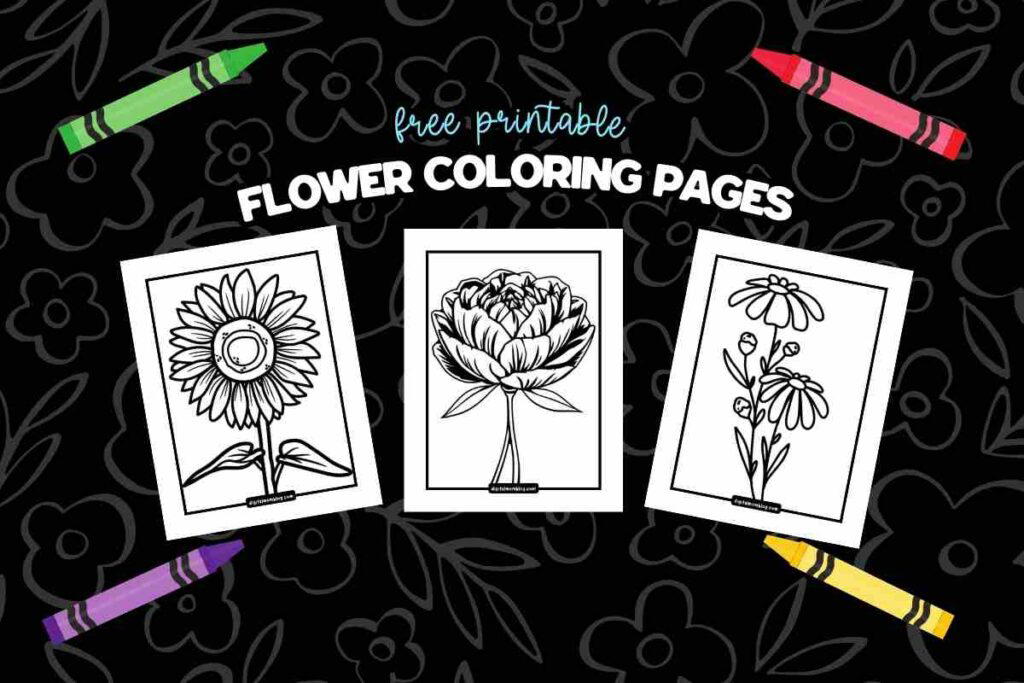 flower coloring pages Three black and white flower coloring pages featuring a sunflower, a rose, and daisies, set against a black floral pattern background with scattered crayons in green, pink, purple, and yellow.